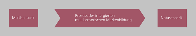 multisensory-branding-multisensorik-corporate-senses-prozess_markenbildung_01_01